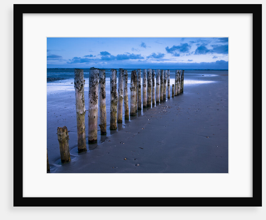 Groynes at ast head beach, West Susex coast by Assaf Frank